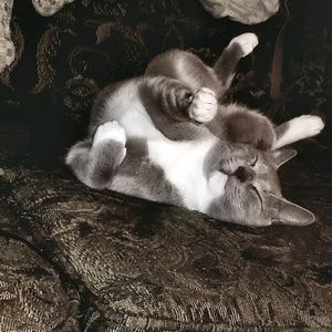 Meet your Posher, Victoria